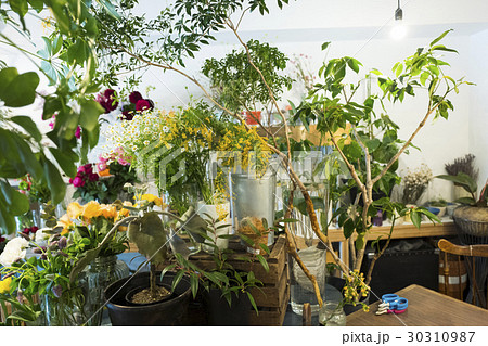 フラワーショップ　店内 30310987