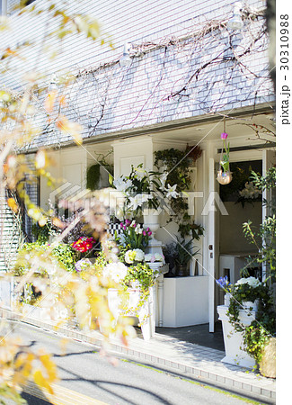 フラワーショップ 30310988