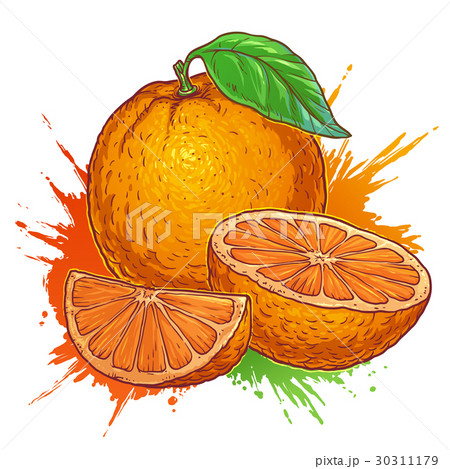 Juicy orange on a white background Juicy orange on a white background 30311179