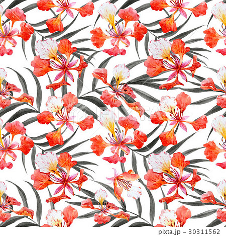 Watercolor floral pattern Watercolor floral pattern 30311562