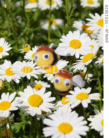 マーガレットとミツバチのマスコット　縦　２匹 30313620