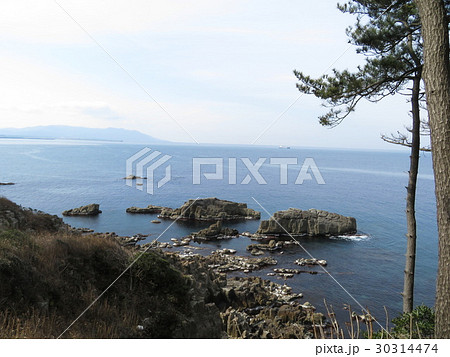 東尋坊荒磯遊歩道 福井県 30314474