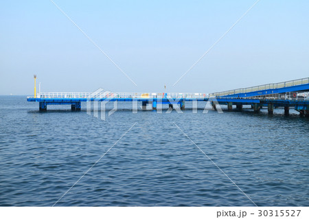 市原市海釣り公園 30315527