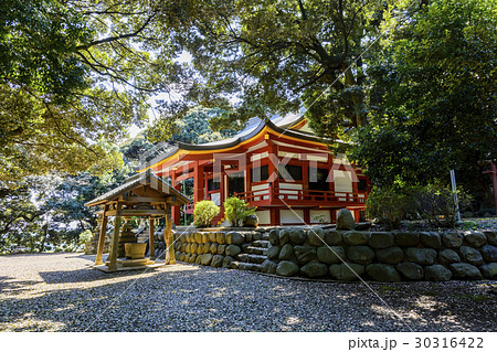 新緑の百草園　百草八幡宮 30316422