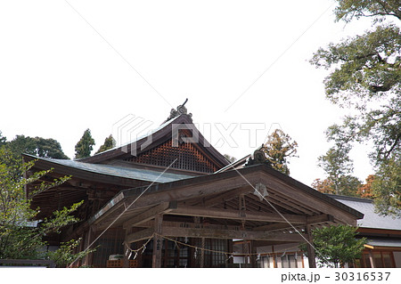 井伊谷宮 井伊谷宮 30316537