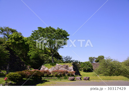 新緑の名護屋城跡 30317429