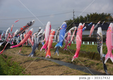 こいのぼり（山口市仁保） 30317432