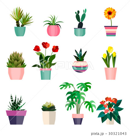 Set of green house plants in pots. Leaf and 30321043