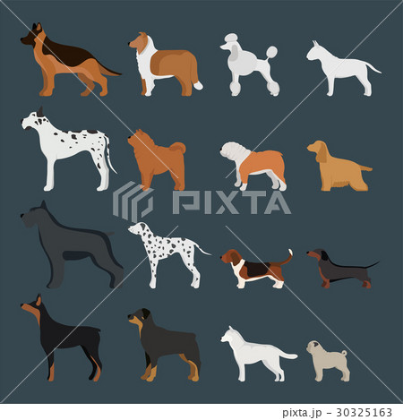 Funny cartoon dog character bread in cartoon style 30325163