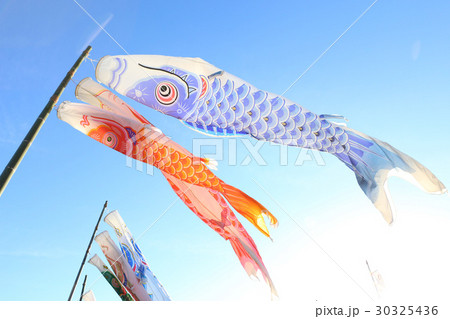 鯉のぼり 30325436