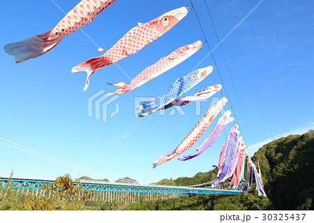 5月の竜神峡の大吊り橋 常陸太田 5月の竜神峡の大吊り橋 常陸太田 30325437