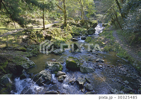 龍頭が滝(島根県) 龍頭が滝(島根県) 30325485