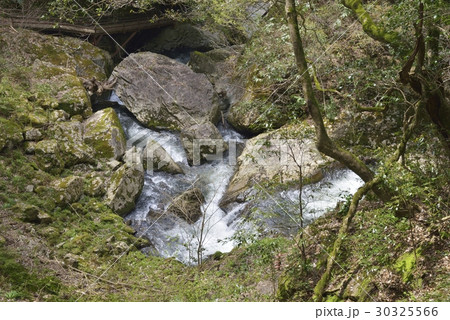 八重滝(島根県) 八重滝(島根県) 30325566