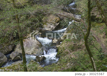 八重滝（島根県） 30325567
