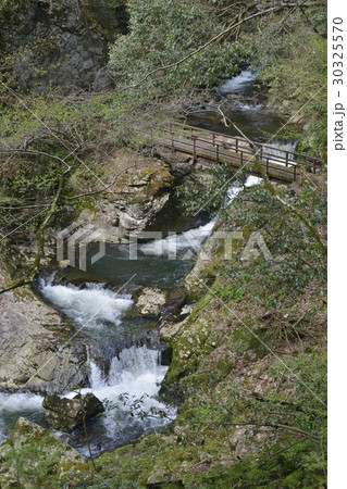 八重滝(島根県) 八重滝(島根県) 30325570