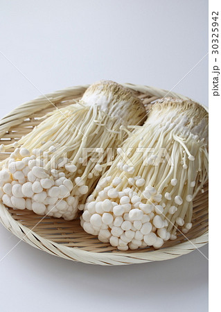 エノキ茸 30325942
