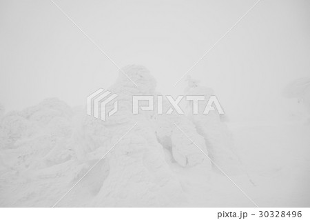 Snow Monsters area Mountain Zao, Japan . 30328496