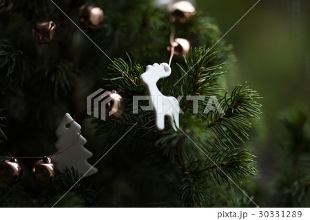 クリスマスホーリー クリスマス・ホーリー クリスマスツリー 30331289