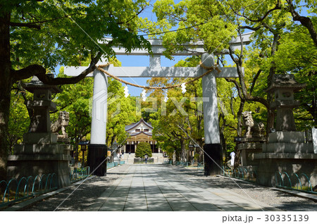 湊川神社 湊川神社 30335139