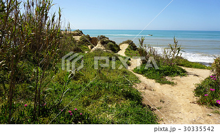 evaristo beach evaristo beach 30335542