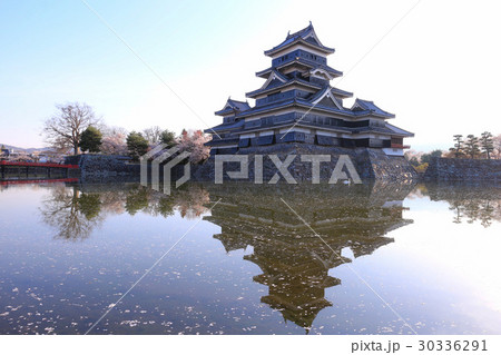 松本城と桜 松本城と桜 30336291