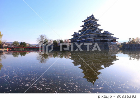 松本城と桜 30336292