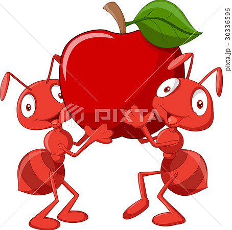 Two ants holding red apple 30336596