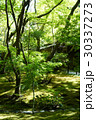 京都の庭 30337273