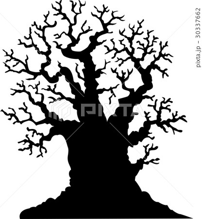 Silhouette of leafless oak tree 30337662