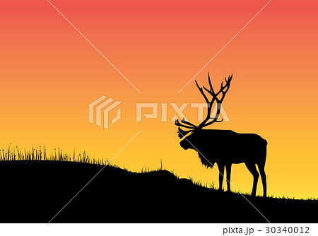 Silhouette of an animal 30340012