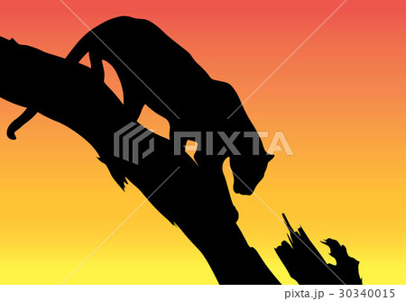 Silhouette of an animal 30340015