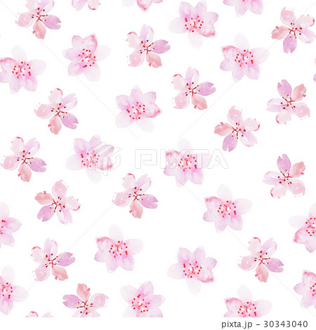 Watercolor drawing of fresh garden flowers Watercolor drawing of fresh garden flowers 30343040