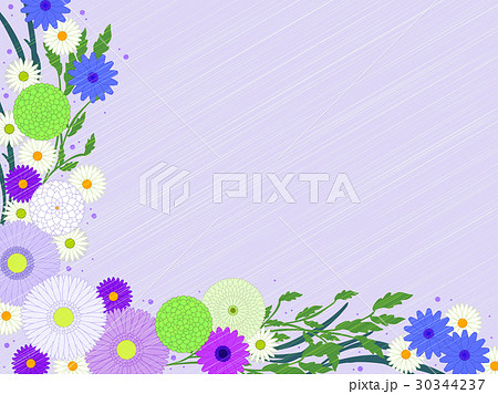 白い花のフレーム08 30344237