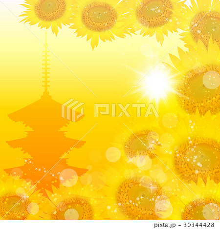 ひまわり 日本 夏 背景 ひまわり 日本 夏 背景 30344428