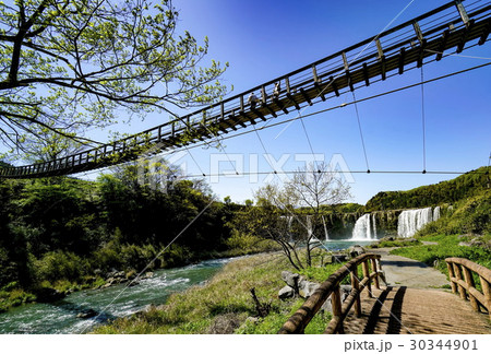 原尻の滝 吊り橋 30344901