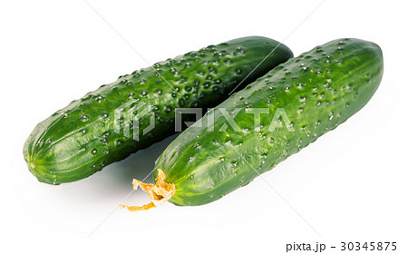 Two fresh cucumbers Two fresh cucumbers 30345875