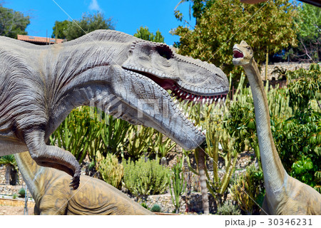 Dino Park 30346231
