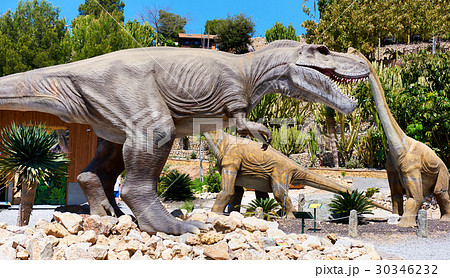 Dino Park  30346232