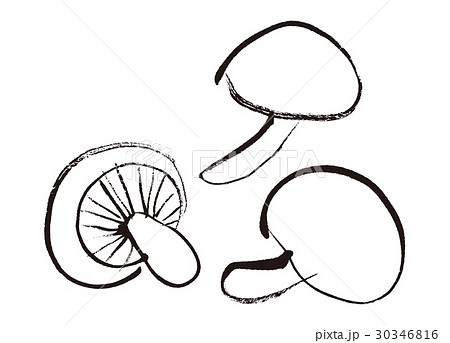しいたけ 水彩画のイラスト素材