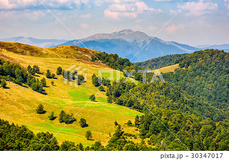grassy meadow on mountain in summer 30347017