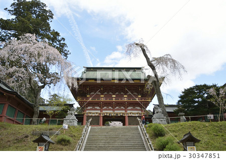 鹽竈神社の随身門 30347851