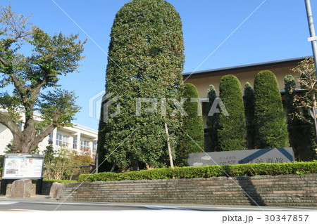 さいたま市盆栽町の風景 さいたま市盆栽町の風景 30347857