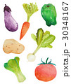 野菜　水彩 30348167