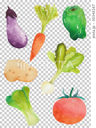Vegetable watercolor 30348167