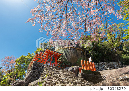 春の神倉神社 30348279