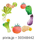 フレーム　野菜 30348442