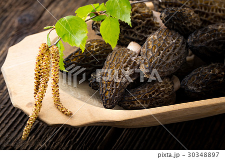 Fresh morchella conica, seasonal mushrooms. 30348897