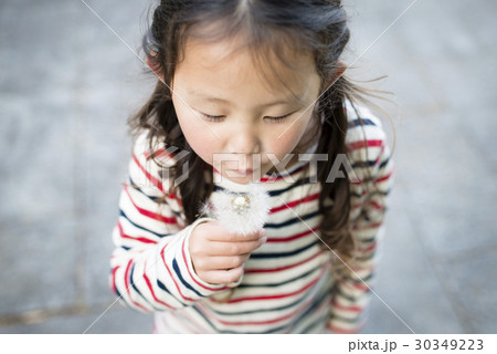 タンポポで遊ぶ女の子 タンポポで遊ぶ女の子 30349223