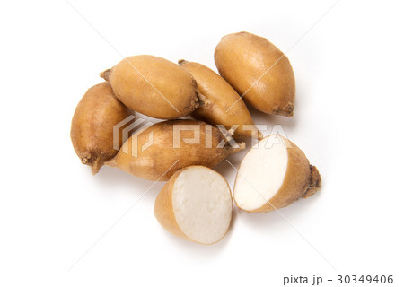 アピオス 30349406