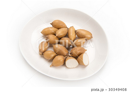 アピオス アピオス 30349408